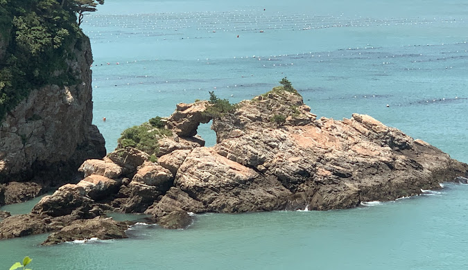 홍도 흑산도 1박2일 여행 리얼 후기 이동부터 추천 코스까지