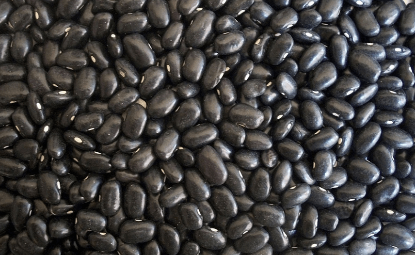 입덧에 좋은 음식 검은콩이 쌓여 있다
