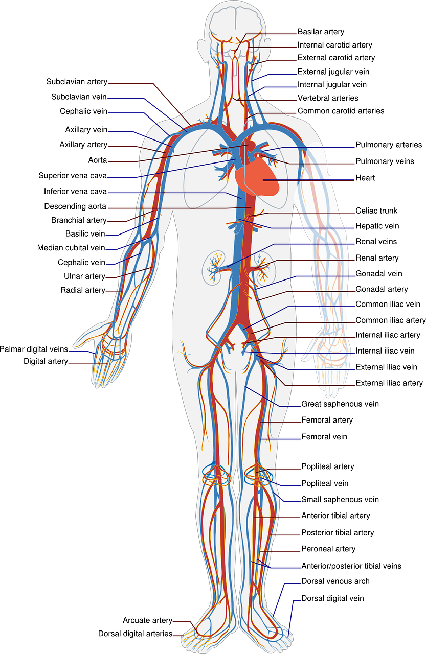 혈전증의 합병증
