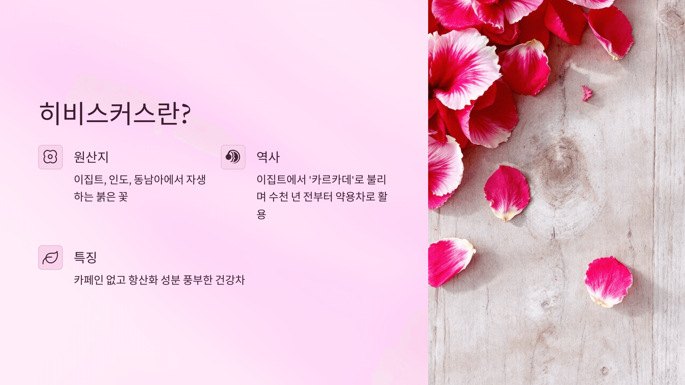 히비스커스 사진입니다.