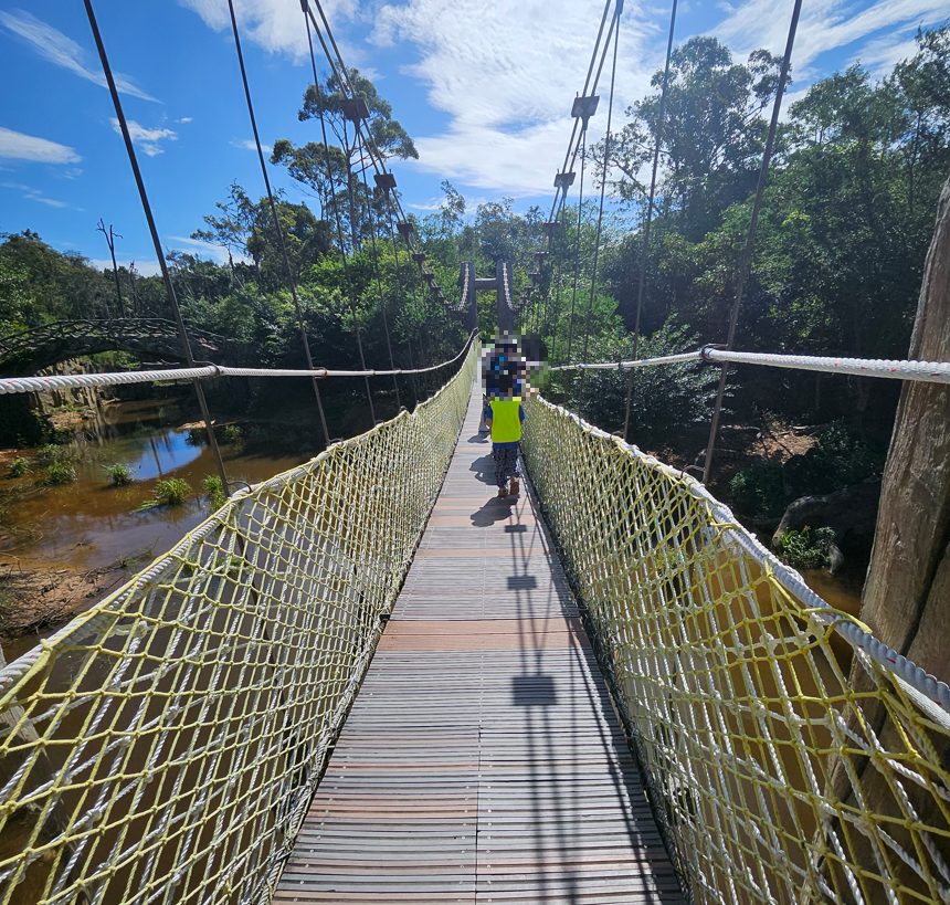 악어 구경 사진