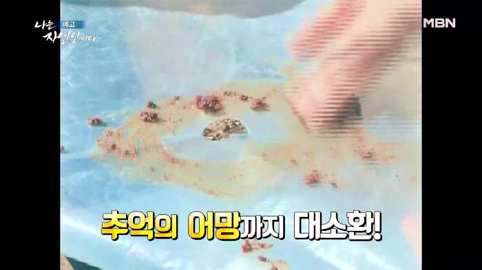 나는 자연인이다 부동산 투자 은퇴 후 추억의 솥뚜껑 토스트 감자전 어머니 레시피 머랭 빵 만드는 자연인 유민재 소개 및 이승윤 출연 546회 다시보기
