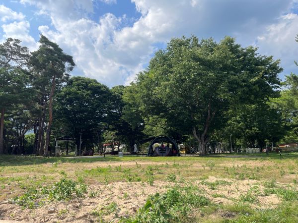 송호캠핑장 F구역