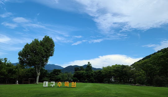 8월 국내 여행지 추천 베스트