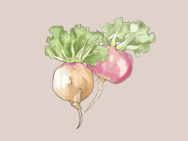 싱싱한-마카-모습