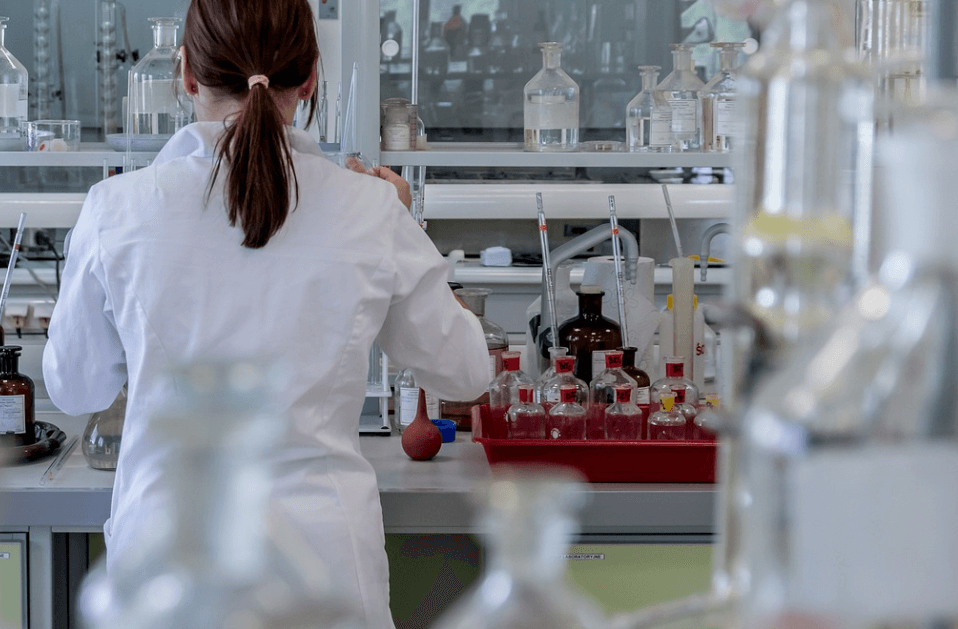 식이섬유 유형이 포만 전달 경로를 달리 만드는 이유, 직접 느껴본 차이점