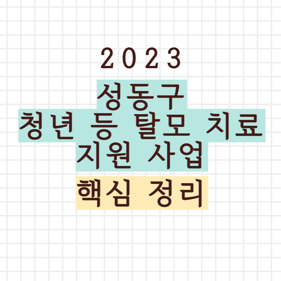 성동구 청년 등 탈모 치료 지원 사업