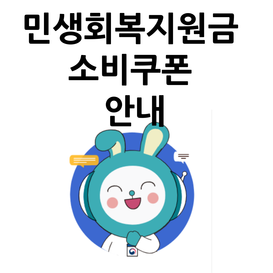 민생회복 지원금 소비쿠폰 안네 - 국민비서 구삐