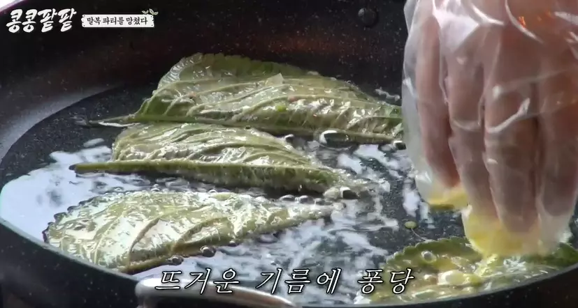 콩콩팥팥 깻잎전