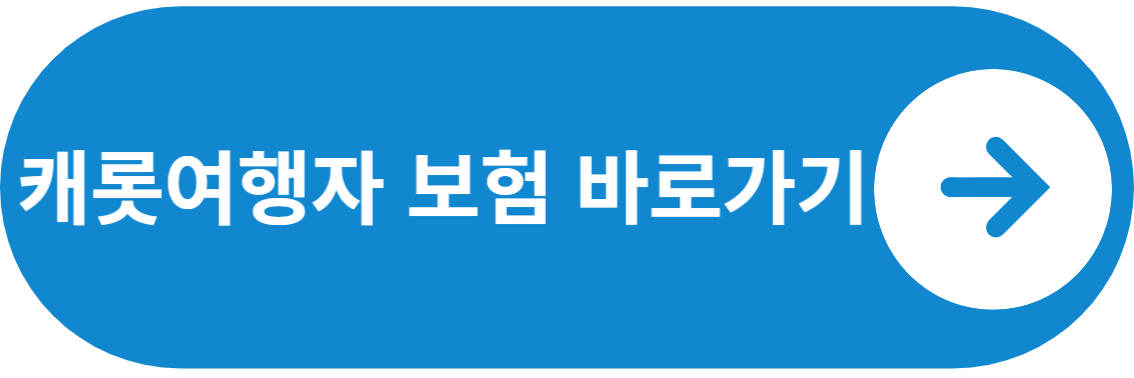 캐롯여행자보험 견적받기