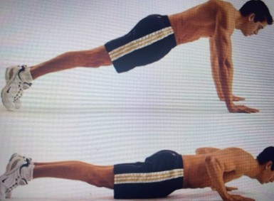 팔 굽혀 펴기