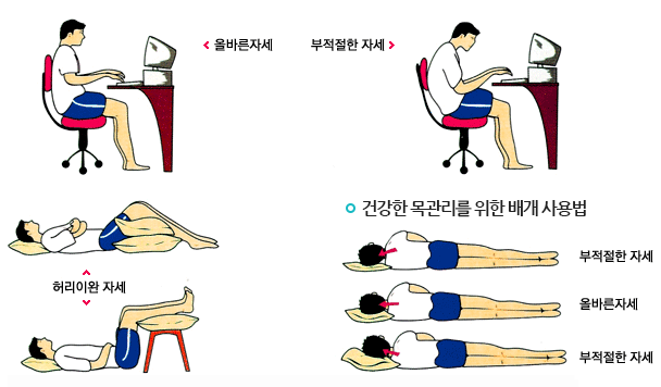 시니어 스트레칭 운동방법