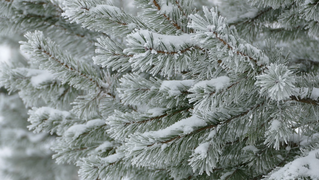 January
