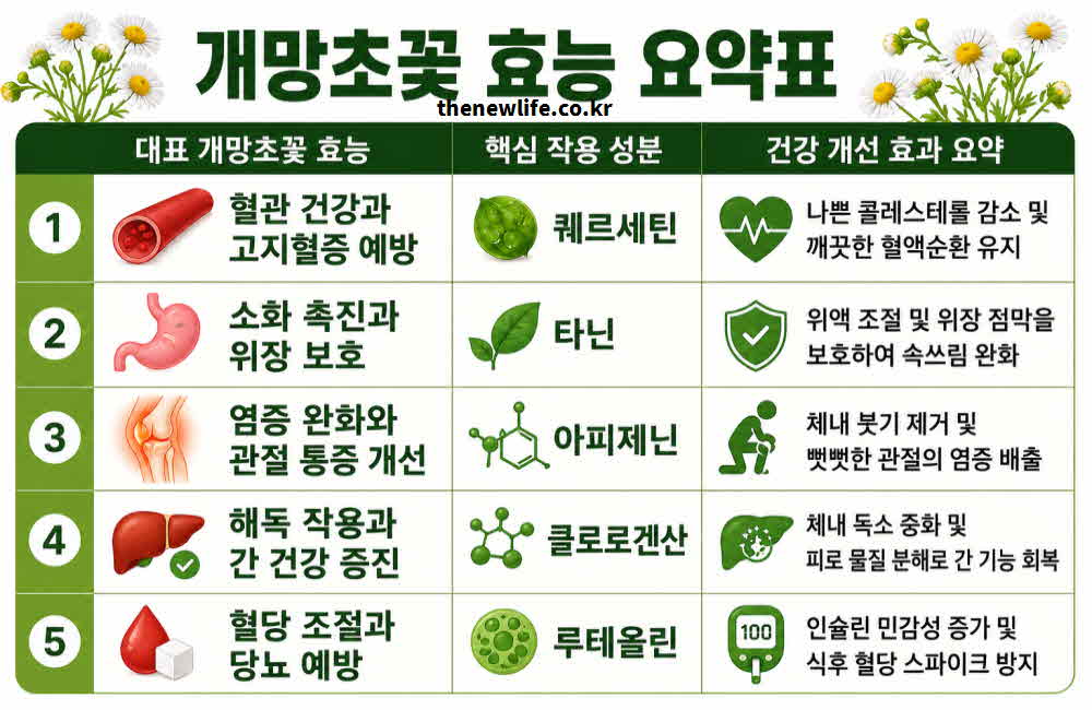 개망초꽃 효능 요약표