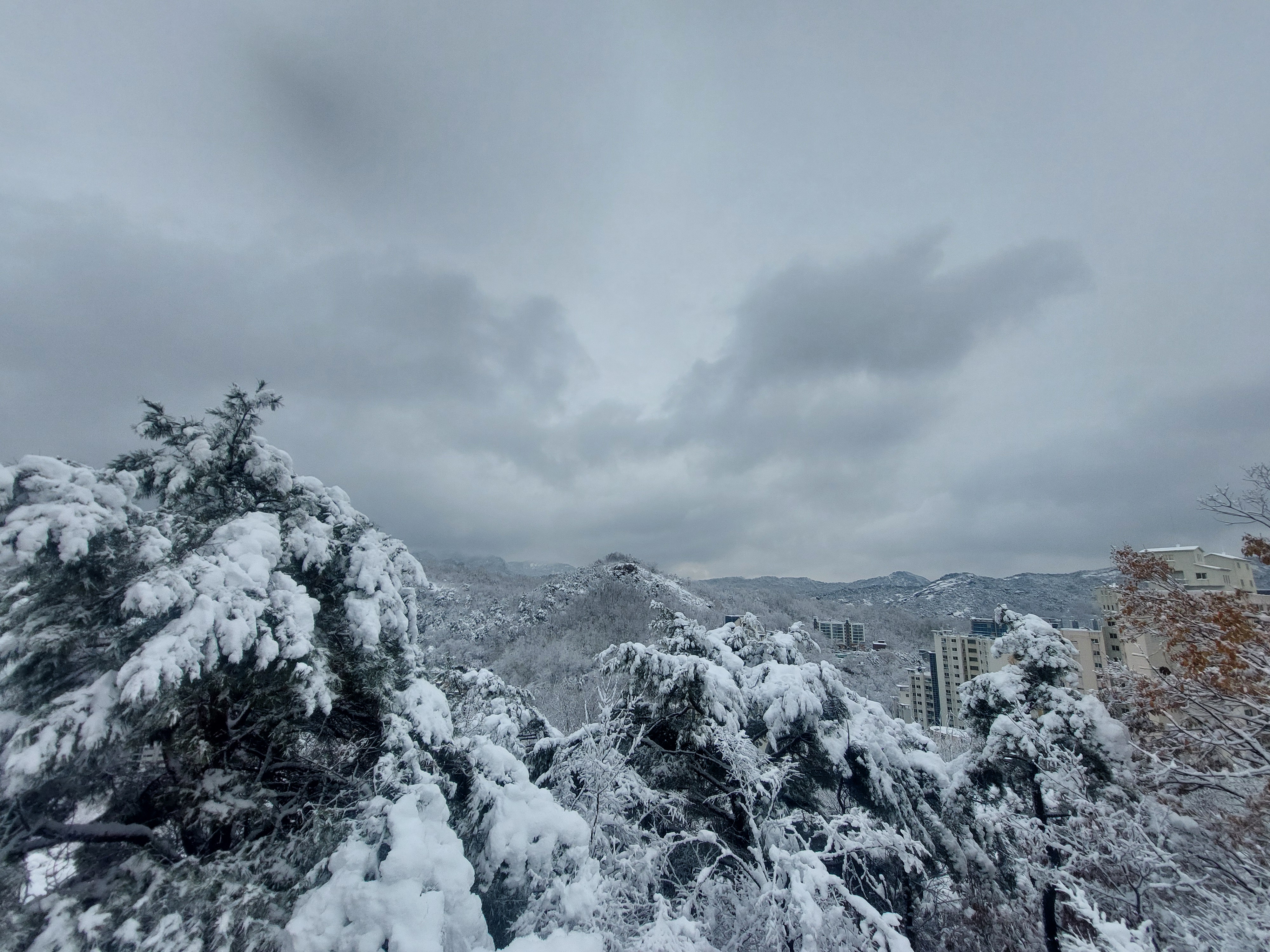 백련산안산