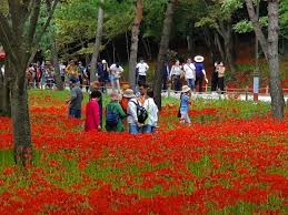 9월 가볼만한 곳 베스트