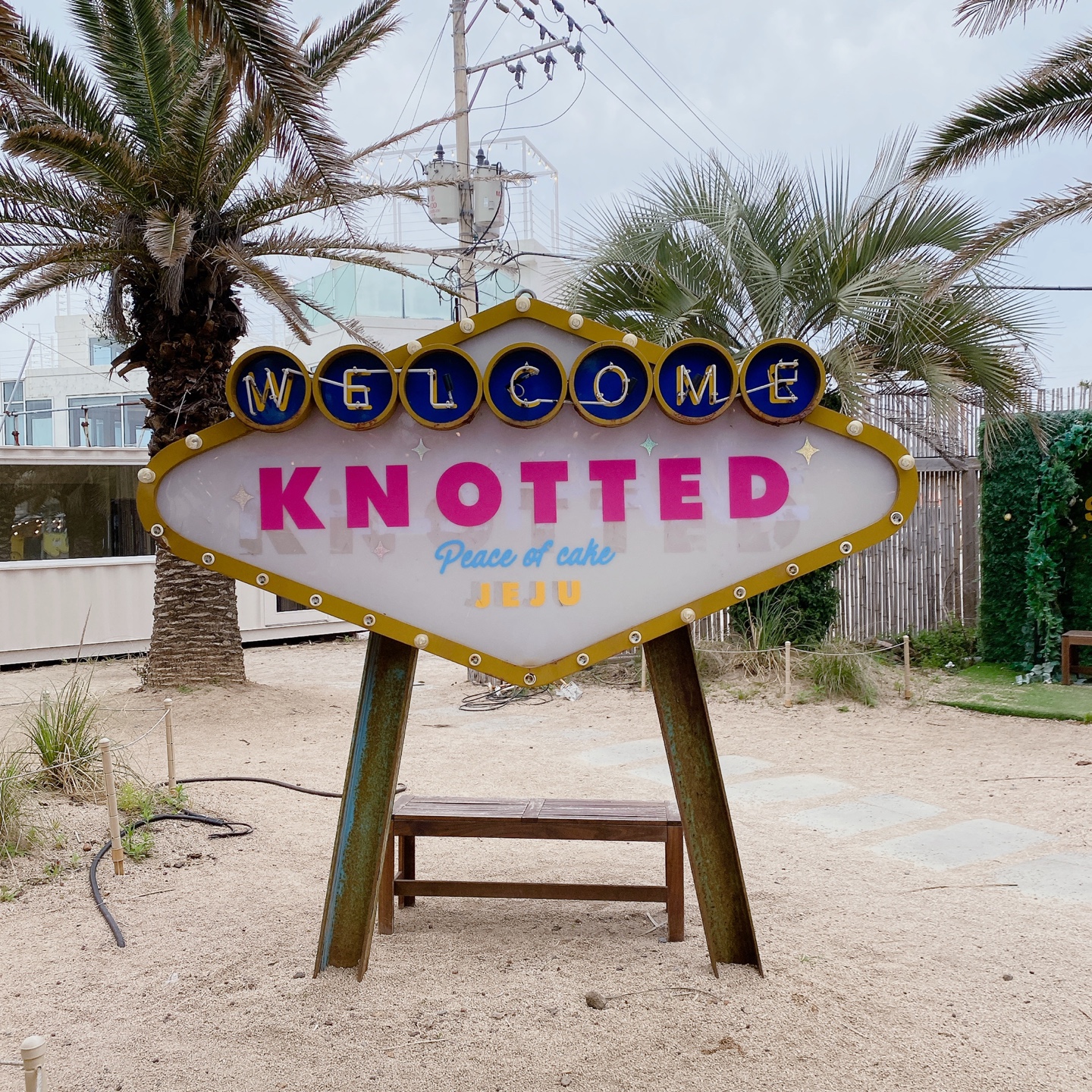 노티드 도넛 제주 애월 핫플레이스 우유크림 도넛 Knotted JEJU