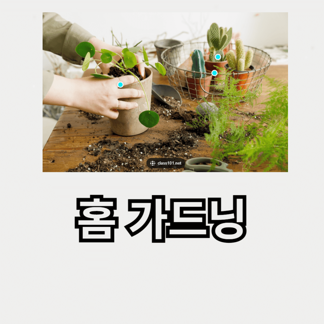 실내식물과 텃밭가꾸기, 홈 가드닝의 매력