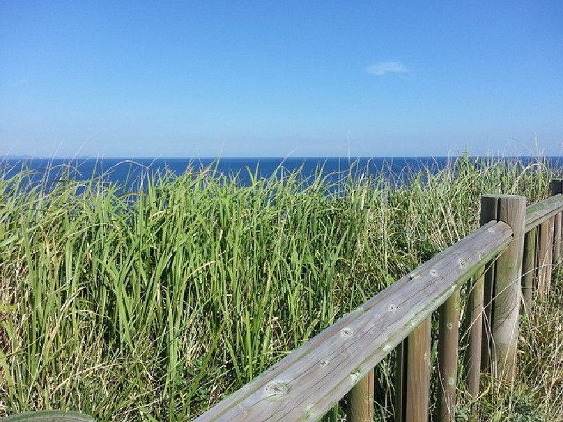 제주도 오름 사진