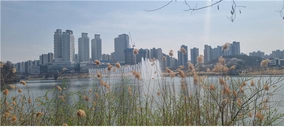 동탄 음악분수쇼 볼 수 있는 공원