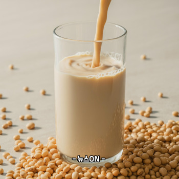 병아리콩 두유 만드는 법