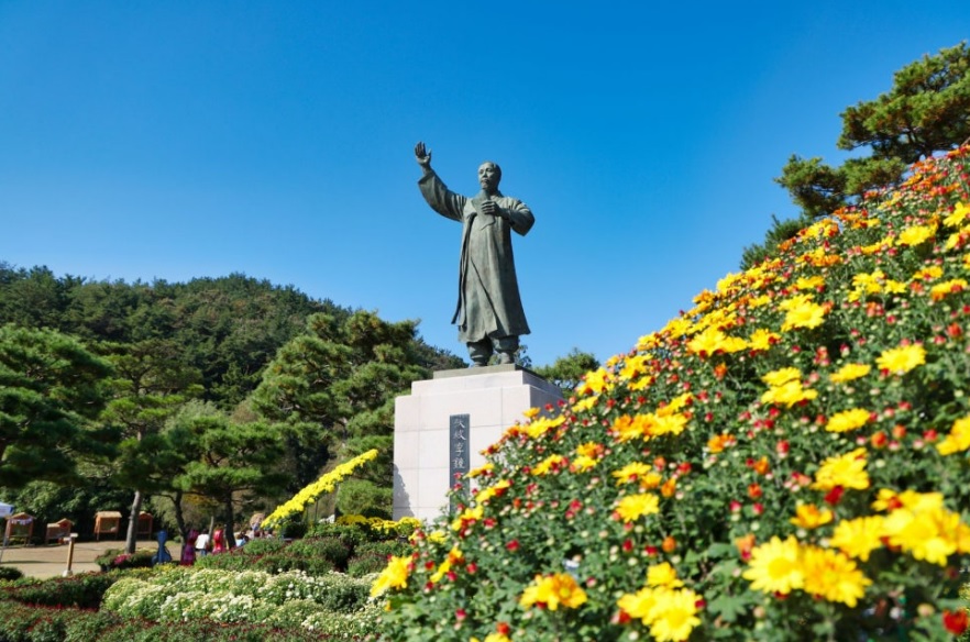 태안 국화축제 주차장