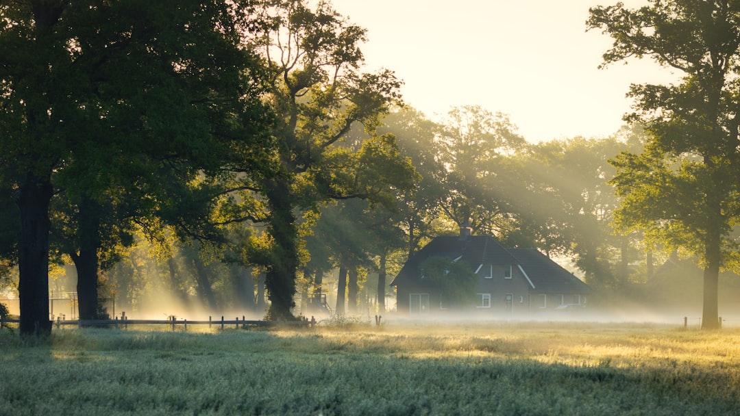 Farmhouse