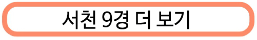서천 자연산 광어 도미 축제 기본정보