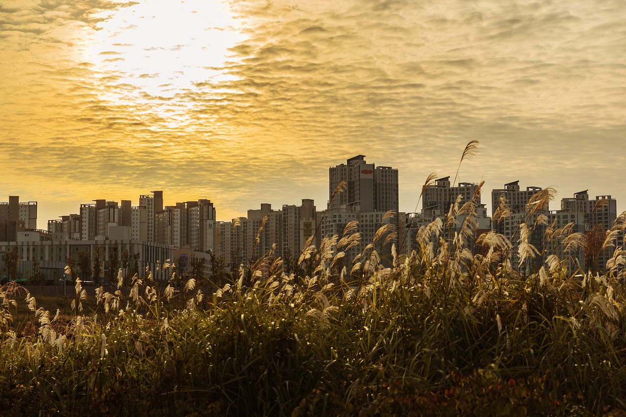 김포한강생태공원 Eco Park