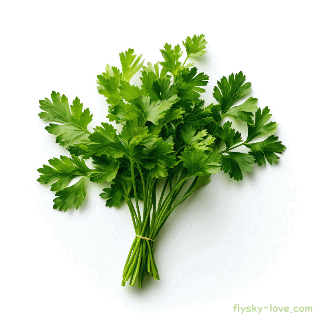 파슬리 먹는 법