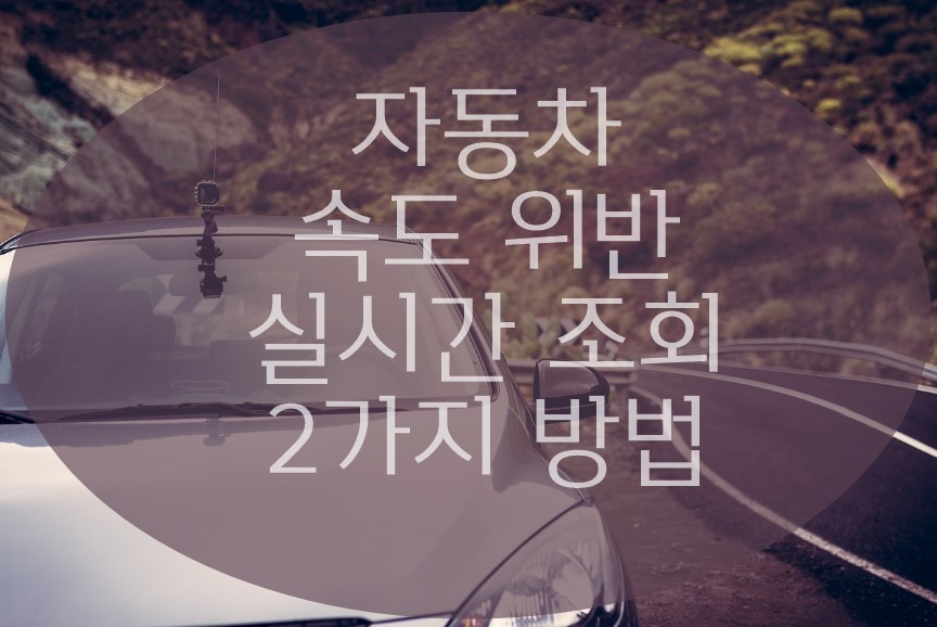 속도위반 실시간 조회하는 방법