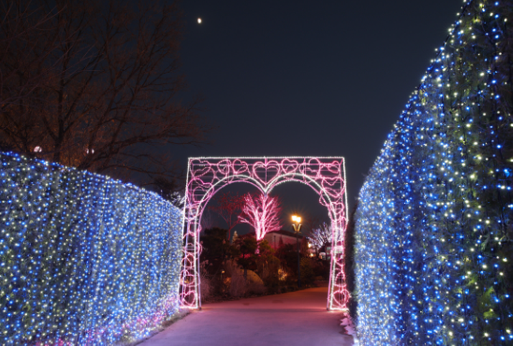 퍼스트가든 별빛축제
