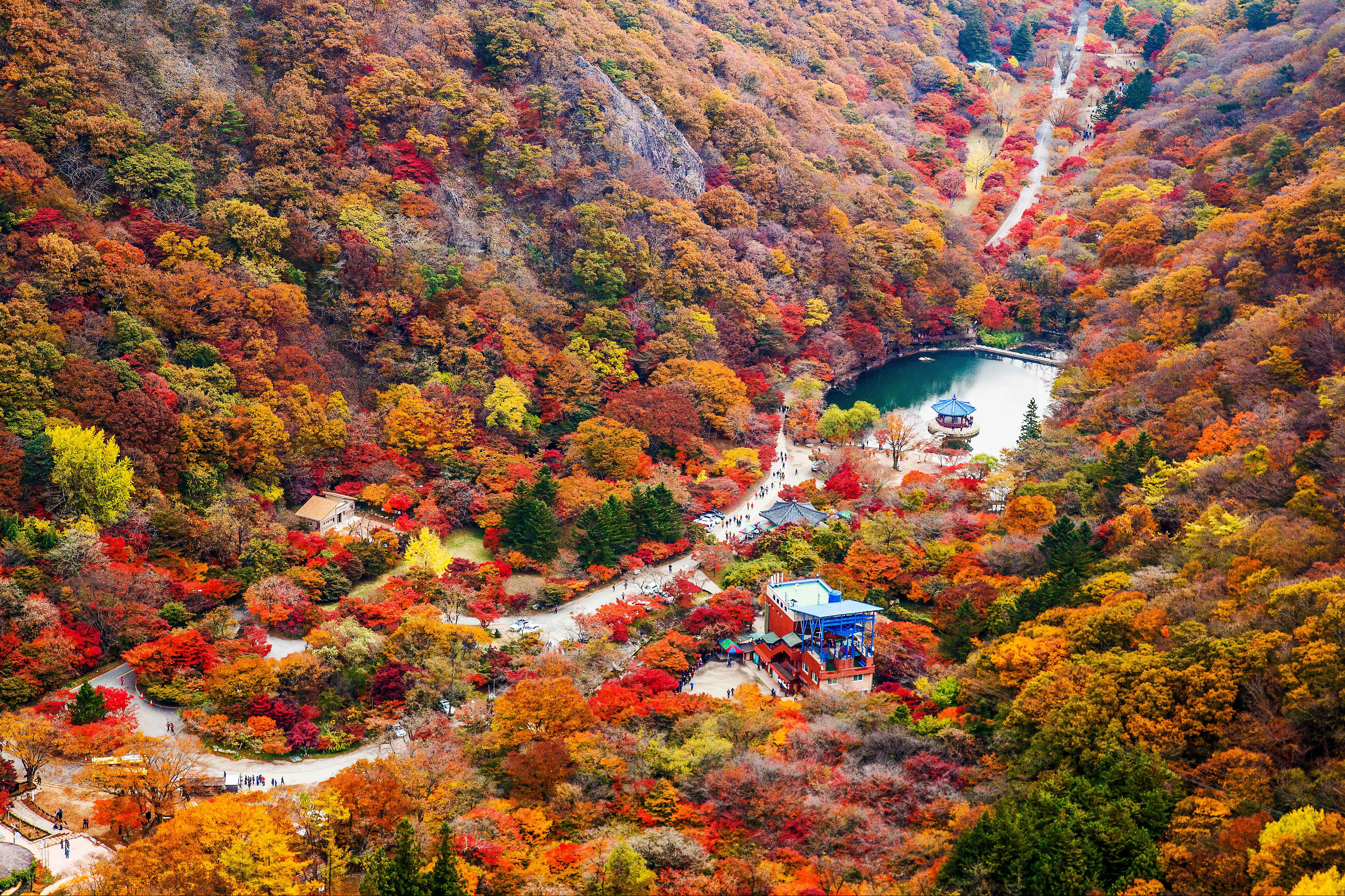 전국-단풍명소-내장산