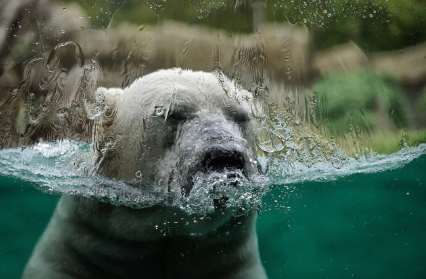 기후변화 대응을 위한 정부 정책 – 과연 실효성이 있을까?