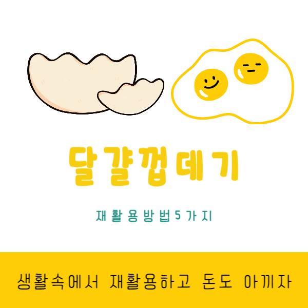 달걀껍데기 재활용법