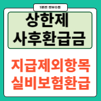 사후환급금 지급일 실비보험 환급