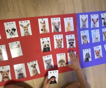 세글자 동물이름 모두 모여라 세글자 파충류 곤충 바다생물 총정리_10