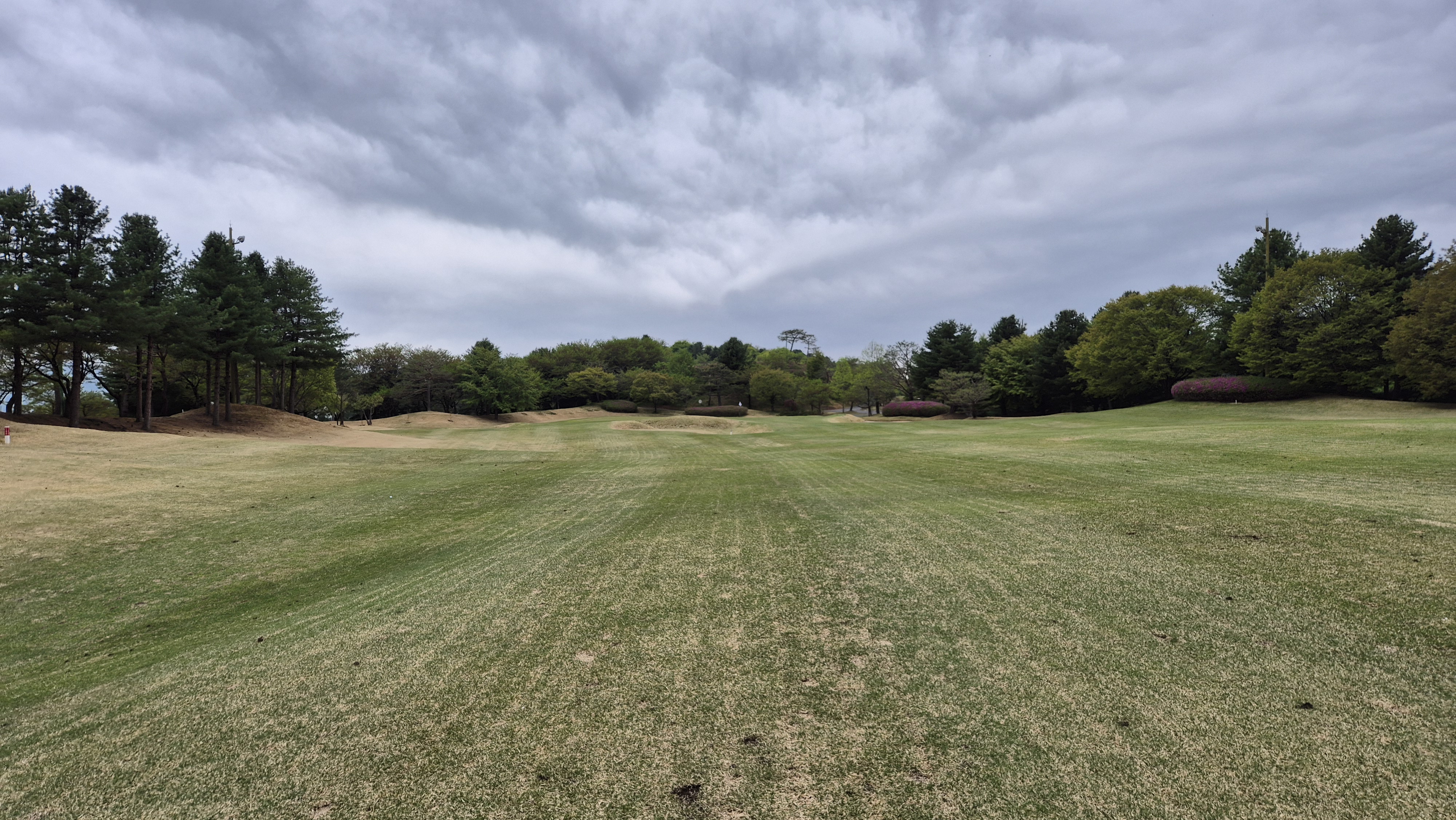 시그너스cc 코튼-라미 코스 사진 및 공략 정보