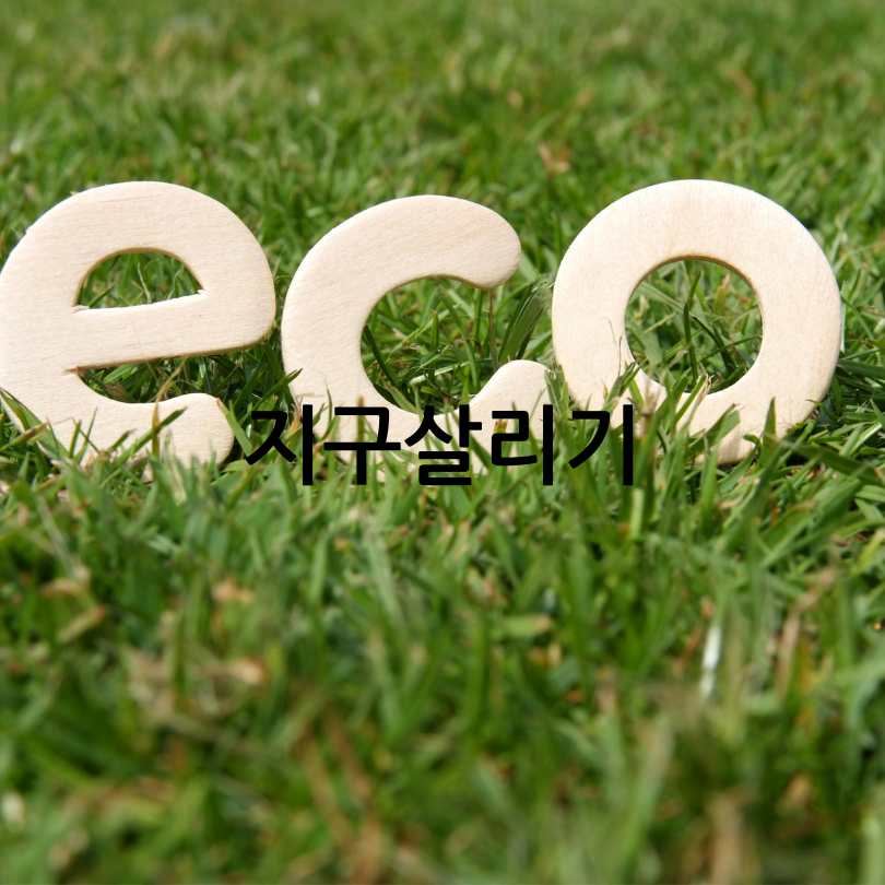 친환경인증제품