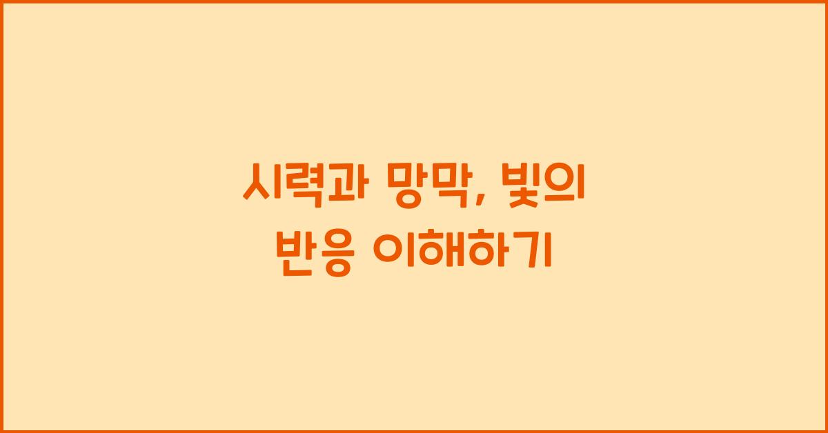 시력과 망막, 빛의 반응