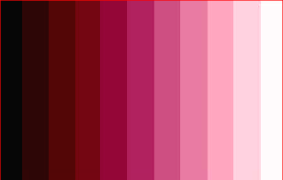 선명한 라이트(Vivid Light) 적용후