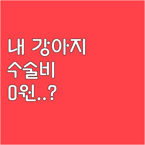 반려견 수술비 부담 줄이는 청주시 반..
