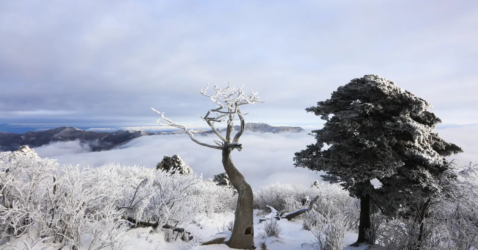 국립공원 실시간 CCTV 리스트