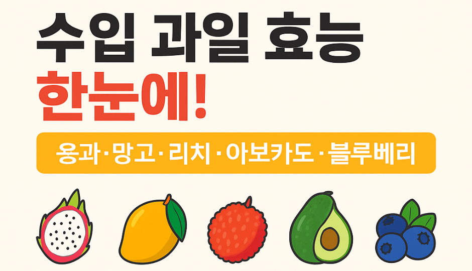 {&quot;alt&quot;:&quot;수입 과일 효능 썸네일 – 용과, 망고, 리치, 아보카도, 블루베리 비교&quot;}