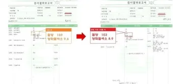 나이별 당화혈색소 수치 목표 기준_19