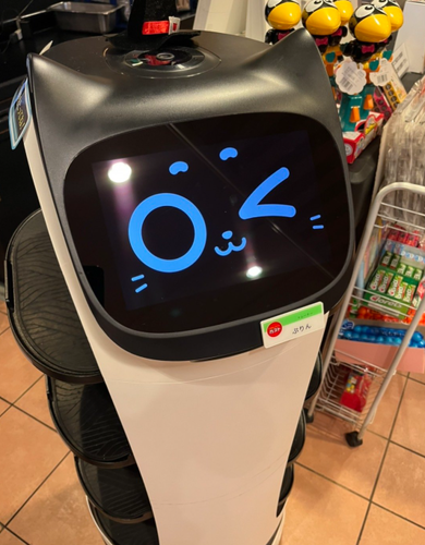 귀여운 표정으로 열일하는 고양이 로봇