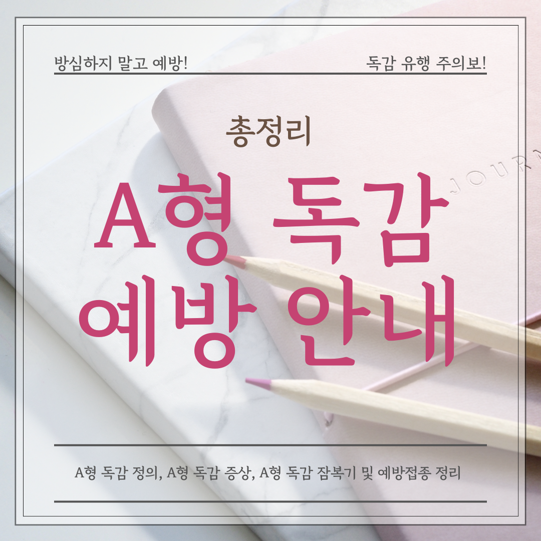 A형 독감 예방 안내