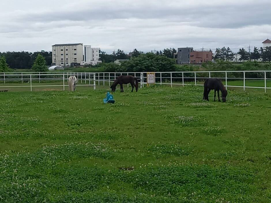 강릉 가볼만한곳 베스트 10