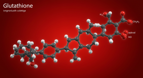 글루타치온 효능