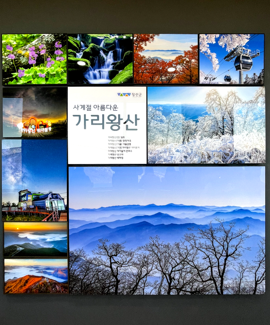 가리왕산 케이블카 체험여행안내 : 가리왕산역 전망대 구경 및 하산